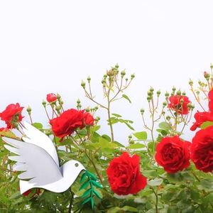 Meet your Posher, Sandy